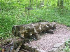 Klippeneck - Katzenbrunnen