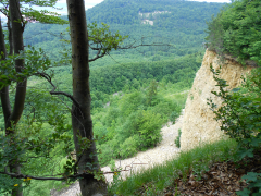 Hirschkopf Rutschung