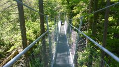 "Burg" Hohenberg - Auf der Hängebrücke