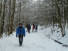 Auf Wanderschaft in der Rhön