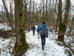 Wandern durch die Rhön