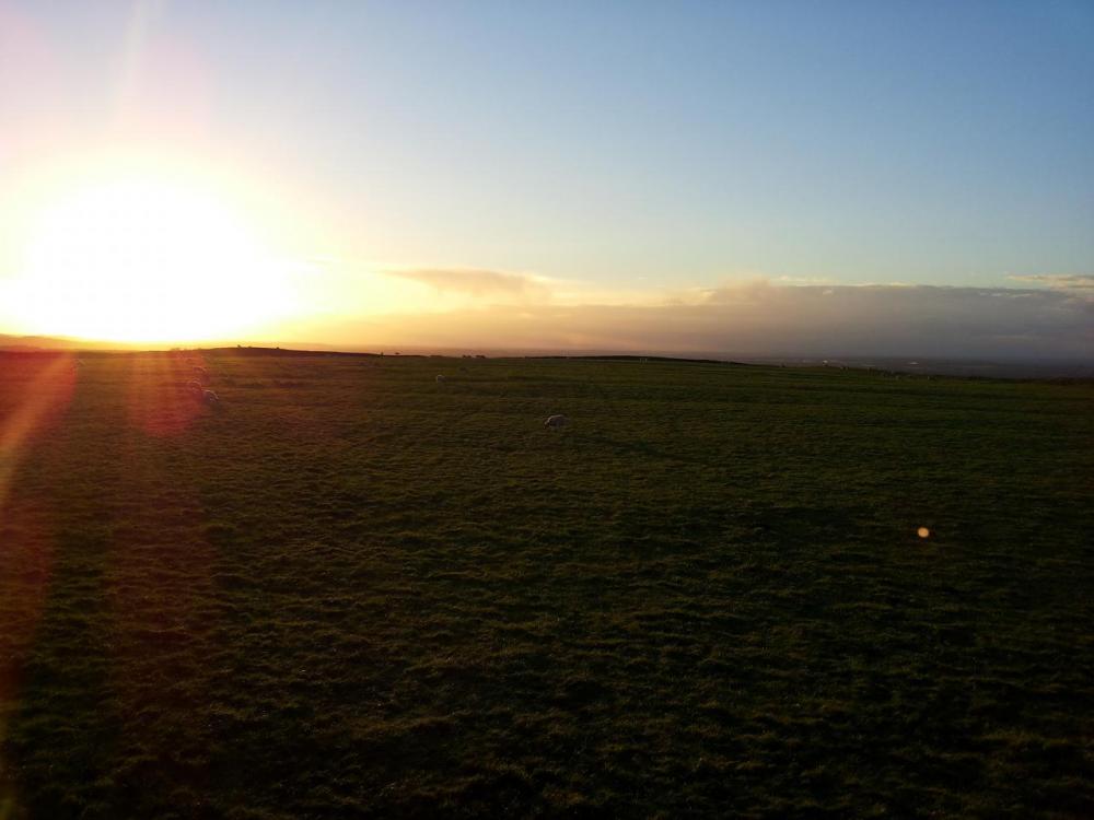 post-1459-0-01841100-1421004736_thumb.jp