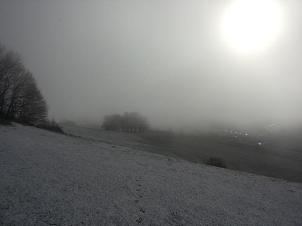 post-1459-0-64207600-1421003420_thumb.jp