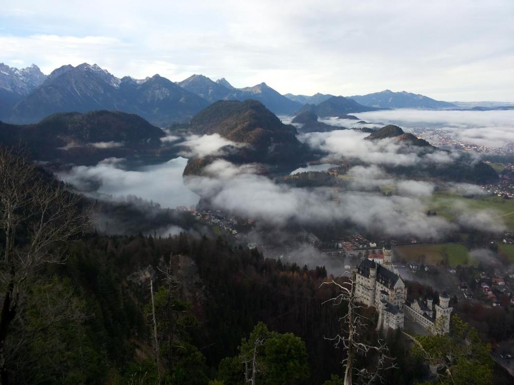 post-1459-0-86947500-1421005314_thumb.jp