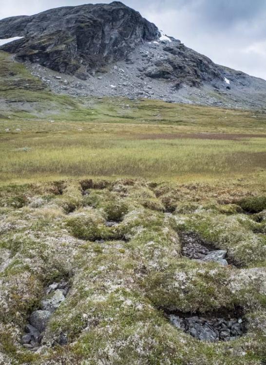 post-1119-0-01177800-1424443747_thumb.jp