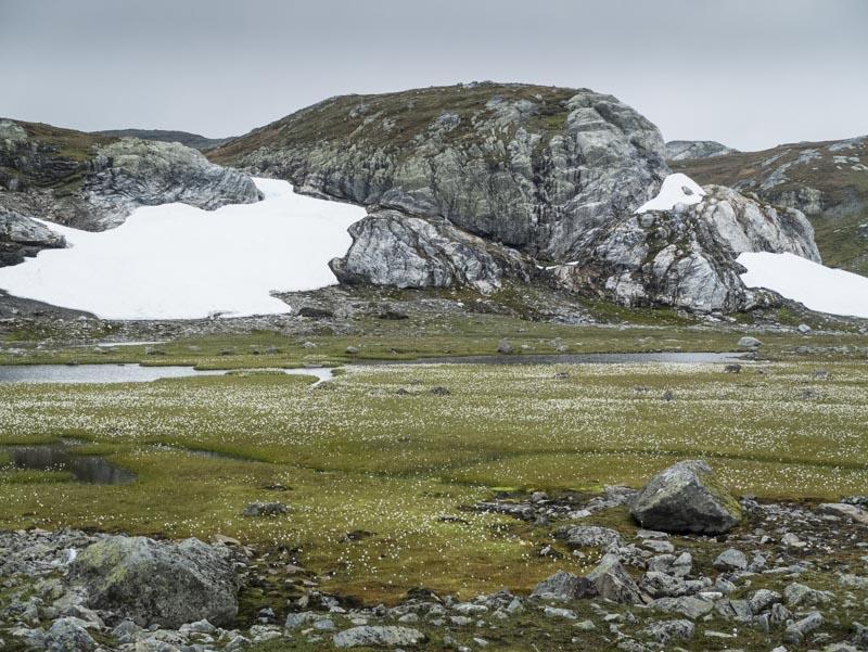 post-1119-0-11307400-1424443744_thumb.jp