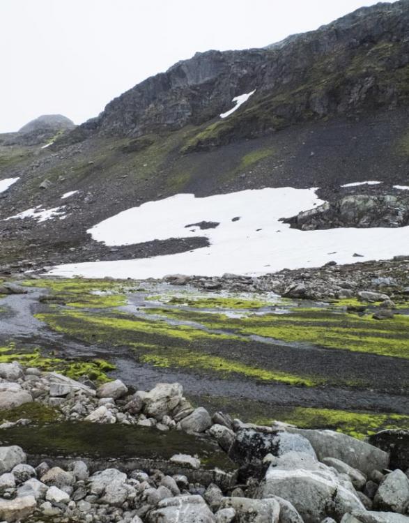 post-1119-0-36926300-1424443738_thumb.jp