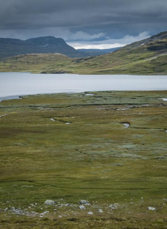 post-1119-0-56725000-1424443745_thumb.jp