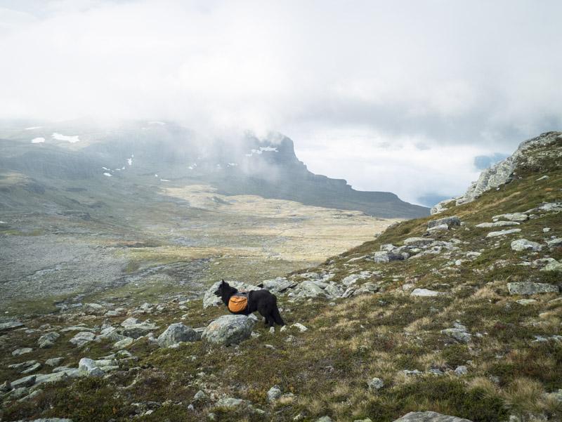 post-1119-0-57149100-1424454661_thumb.jp