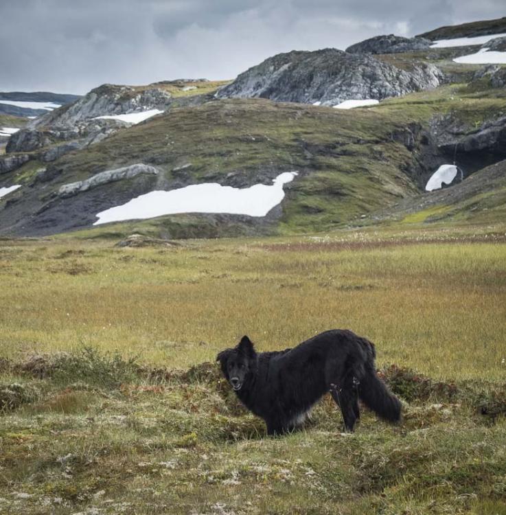 post-1119-0-98038700-1424443749_thumb.jp