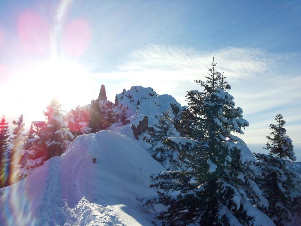 post-1459-0-67584400-1422990462_thumb.jp