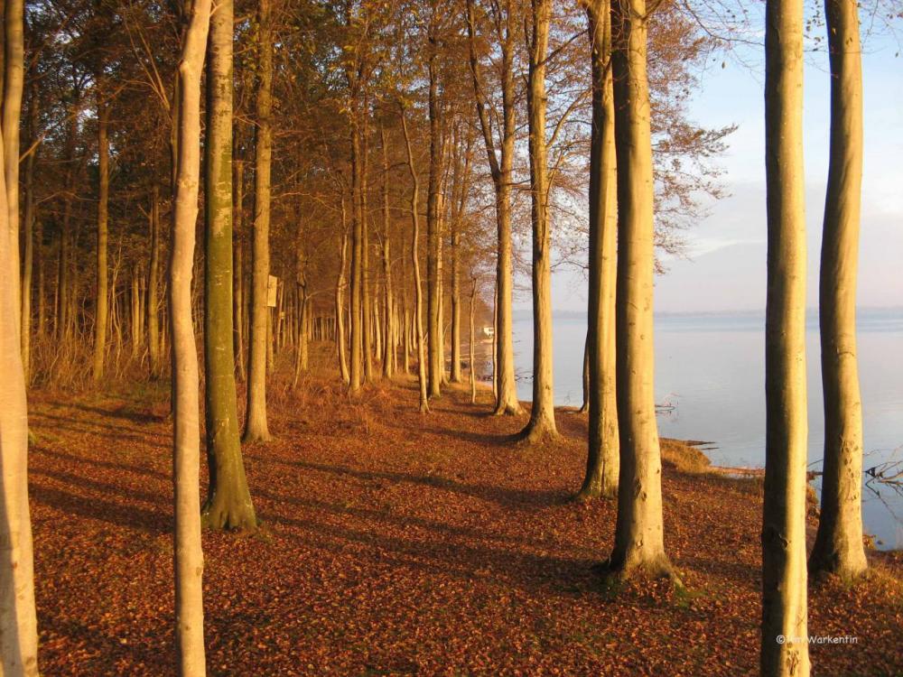 post-1696-0-52963300-1423240546_thumb.jp