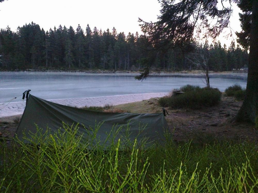 post-1031-0-01728000-1426672434_thumb.jp