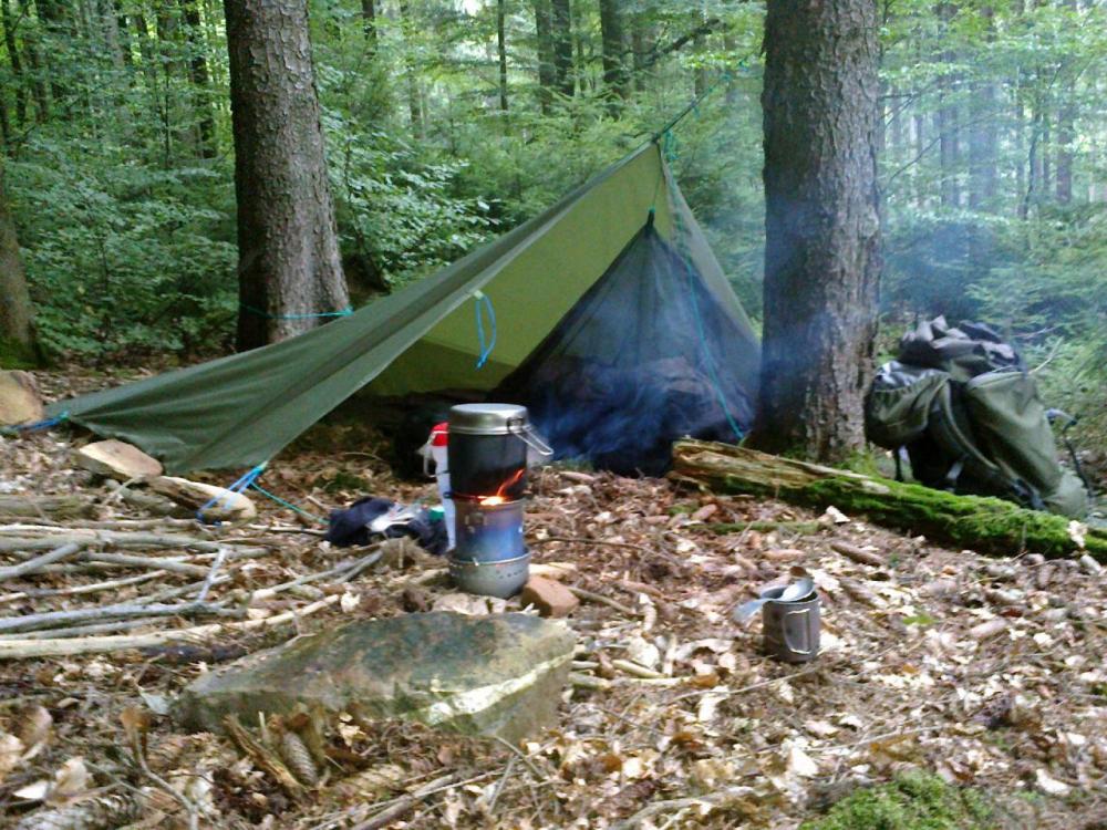 post-1031-0-61123100-1426672357_thumb.jp