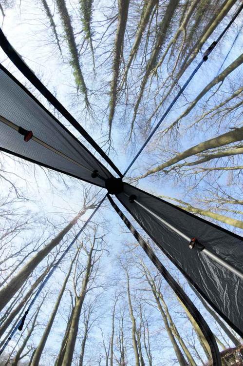 post-1378-0-96014100-1426786352_thumb.jp