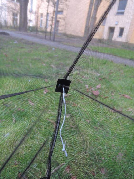 post-1404-0-85646000-1427300494_thumb.jp