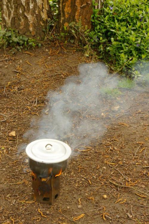 post-1378-0-06991300-1397842725_thumb.jp