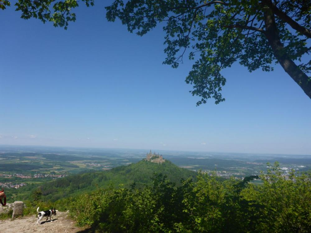 post-1325-0-02495900-1400606655_thumb.jp