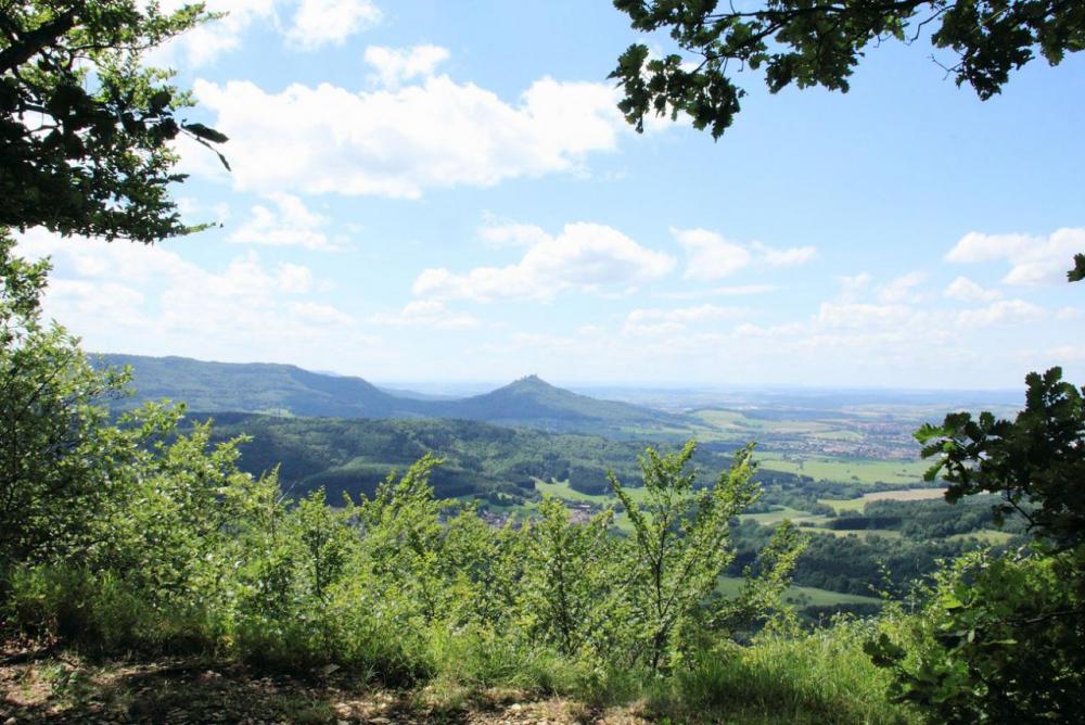 post-1325-0-80067900-1399911486_thumb.jp