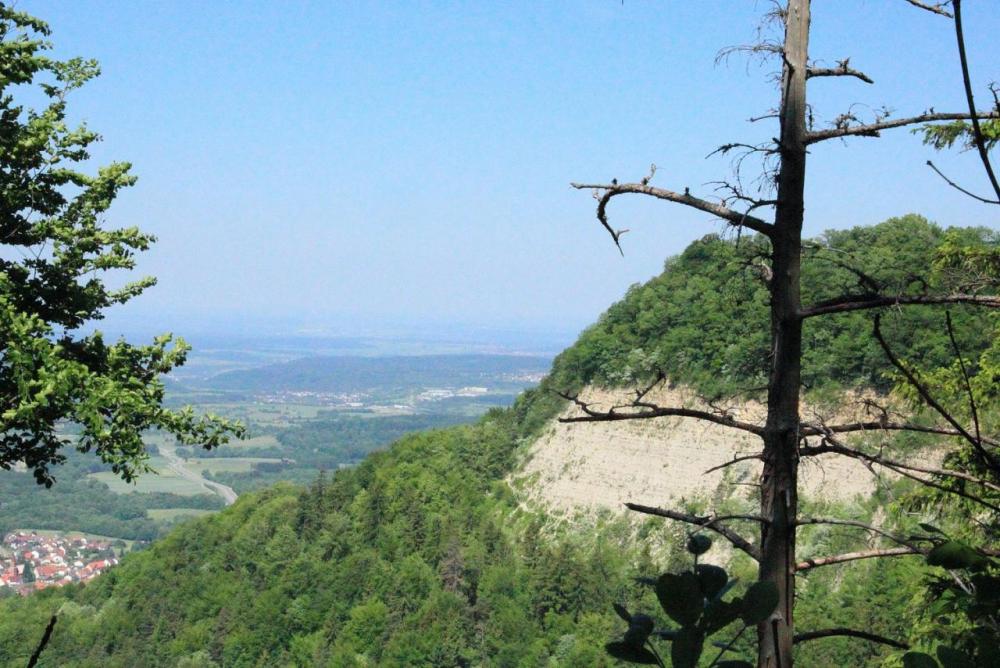 post-1325-0-80804100-1399911161_thumb.jp