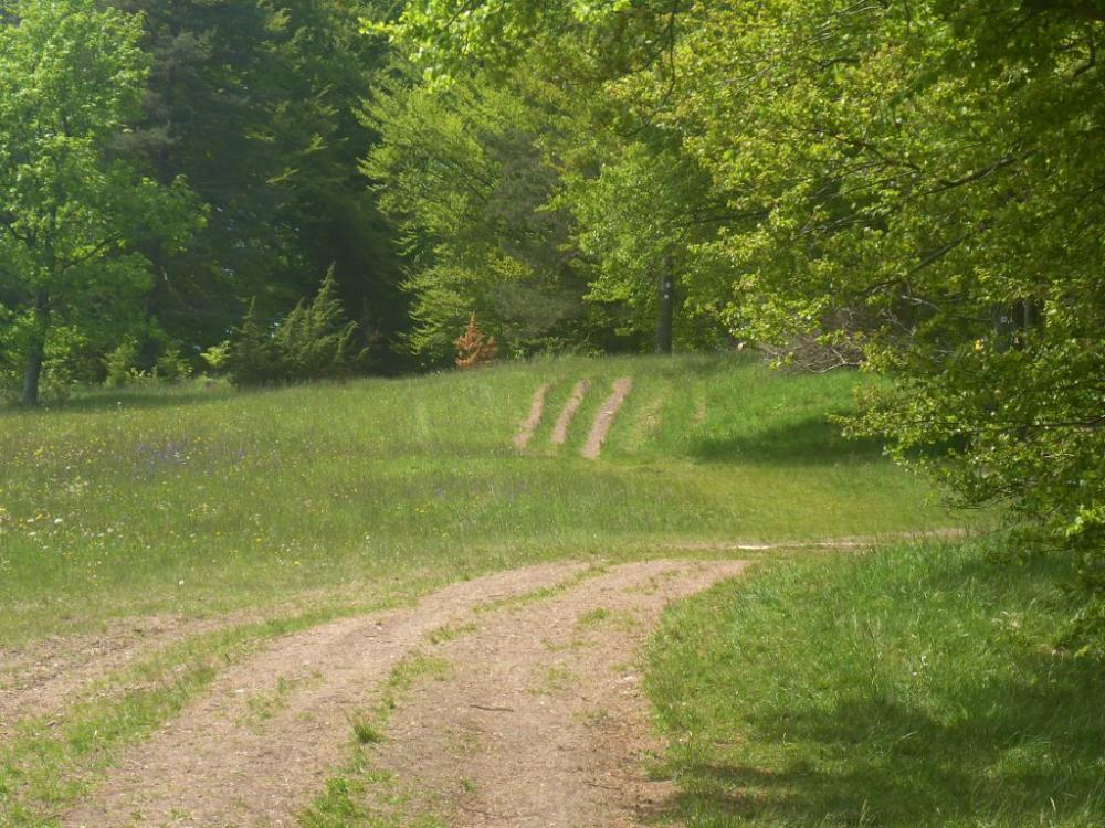 post-1325-0-93914700-1400606773_thumb.jp