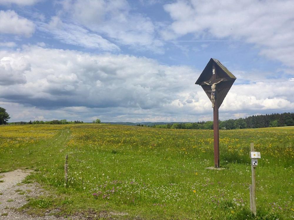 post-1325-0-16106200-1401623917_thumb.jp