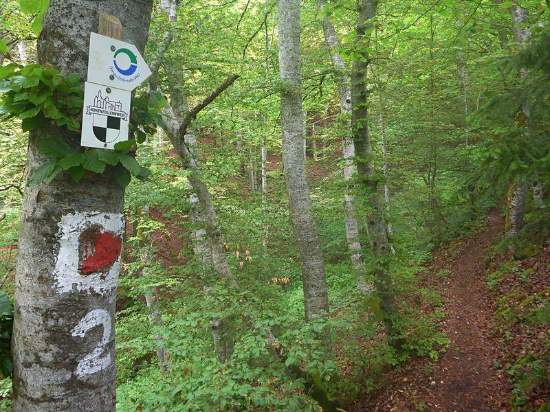 post-1325-0-25787100-1401623354_thumb.jp