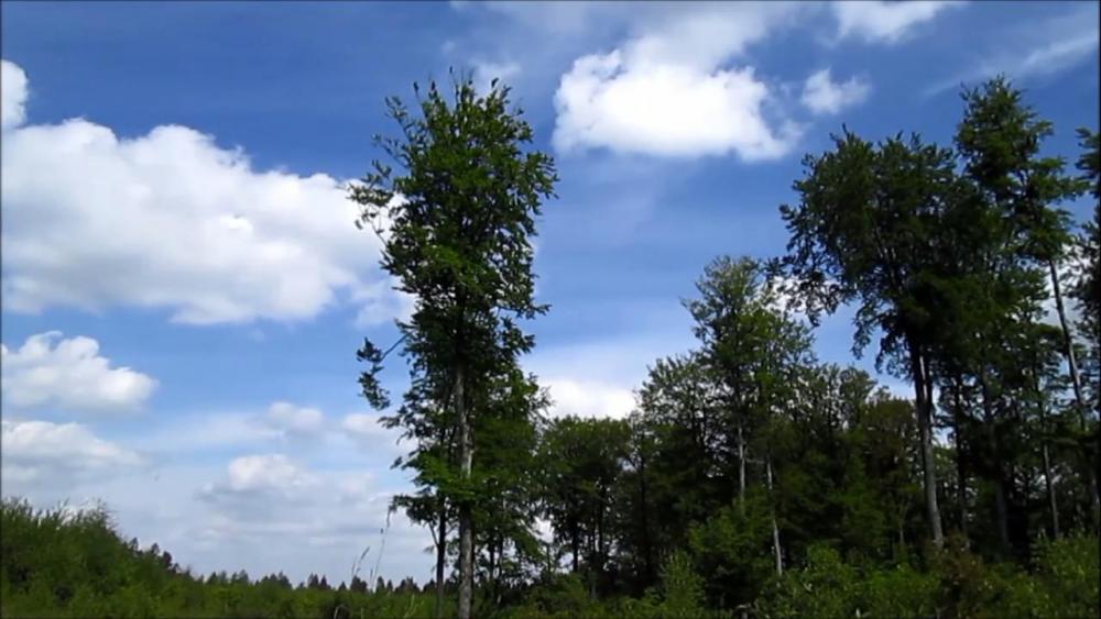 post-1031-0-39884000-1433601198_thumb.jp