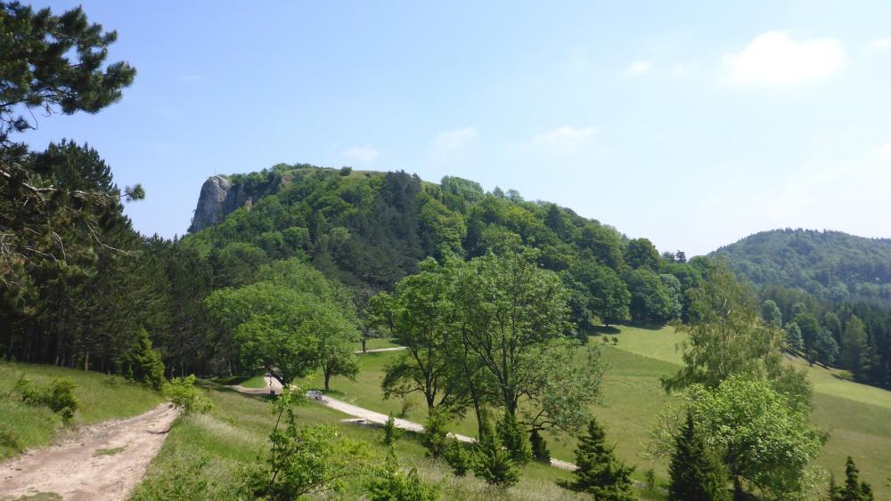 post-1325-0-00506600-1434915899_thumb.jp