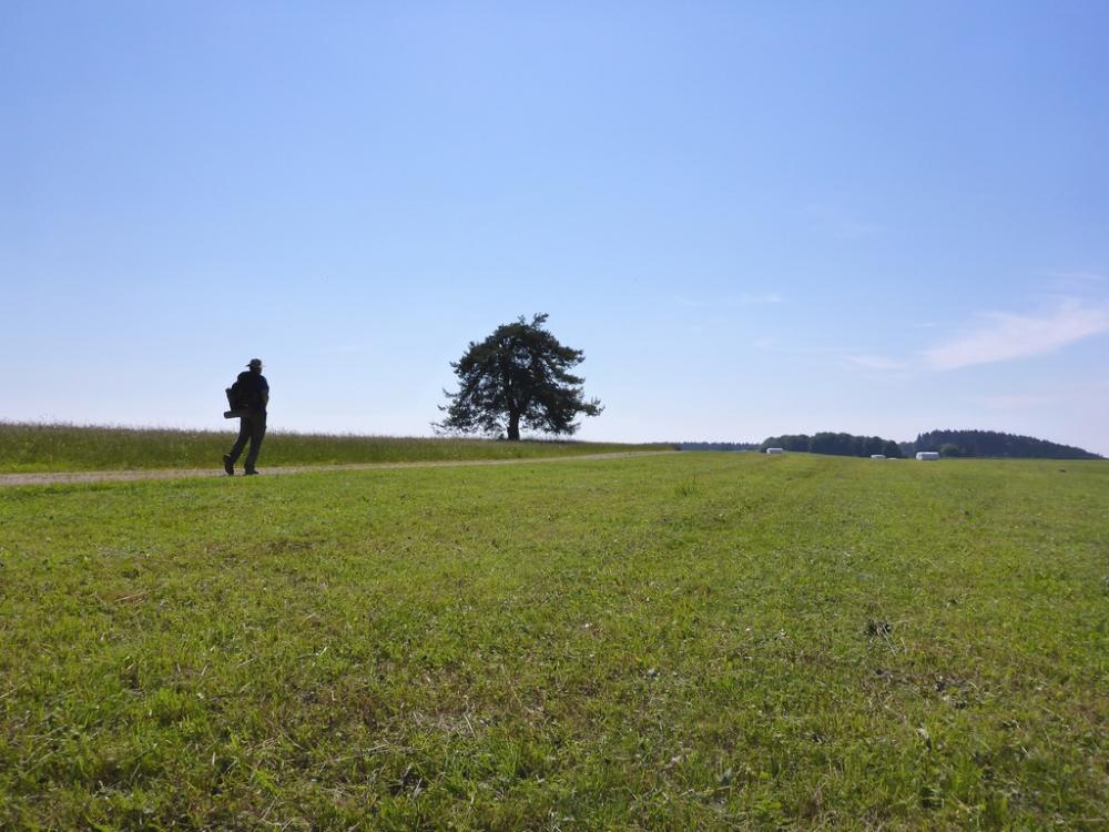 post-1325-0-02739900-1434969054_thumb.jp