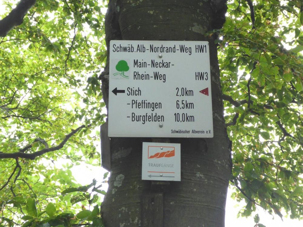 post-1325-0-03111400-1434901764_thumb.jp