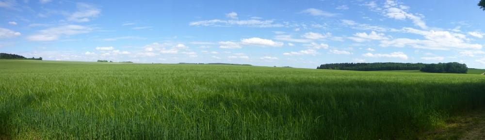 post-1325-0-05041900-1434575044_thumb.jp