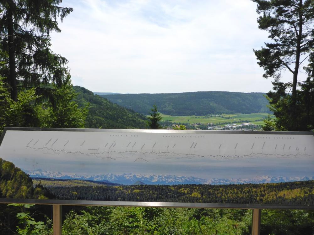 post-1325-0-05478900-1434969518_thumb.jp