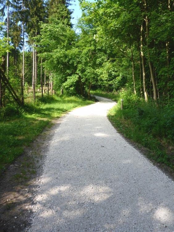 post-1325-0-07265300-1434803084_thumb.jp