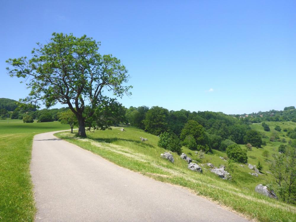 post-1325-0-08722800-1434722254_thumb.jp