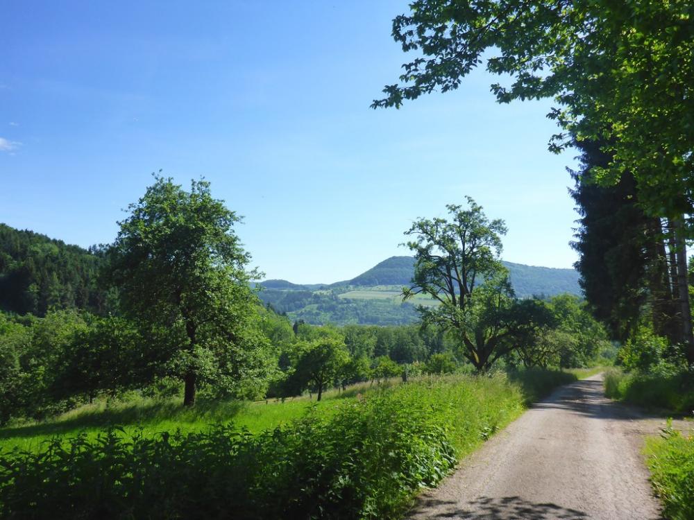 post-1325-0-09061100-1434650538_thumb.jp