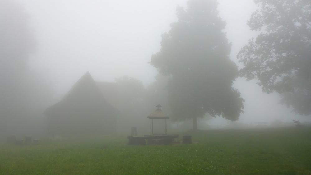 post-1325-0-09394000-1434822825_thumb.jp