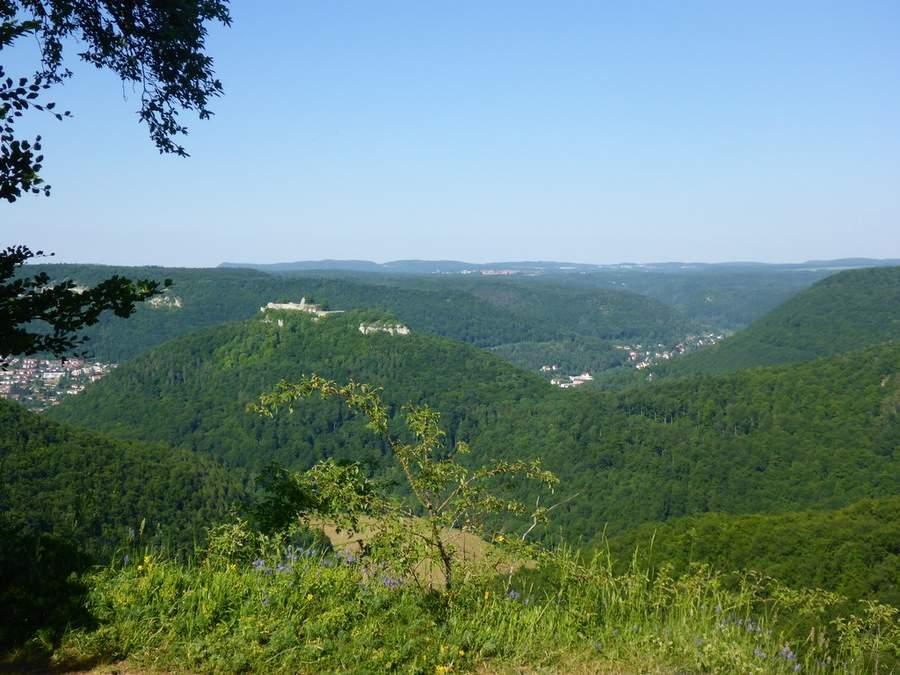 post-1325-0-09397900-1434748450_thumb.jp