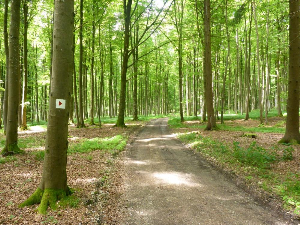 post-1325-0-11149700-1434574505_thumb.jp