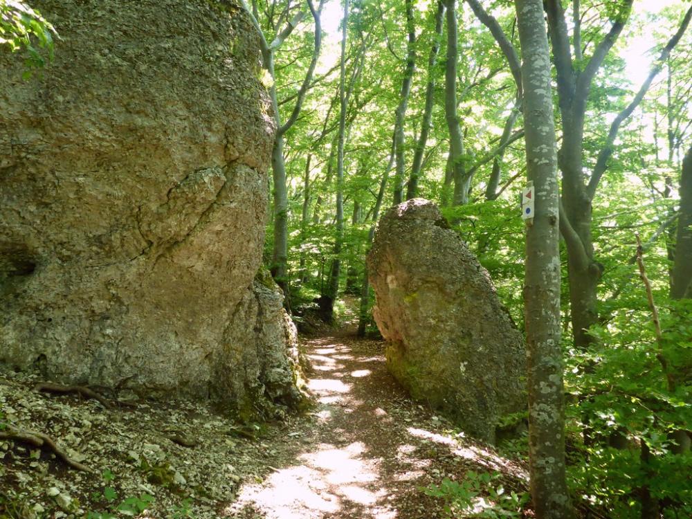 post-1325-0-11929100-1434804004_thumb.jp