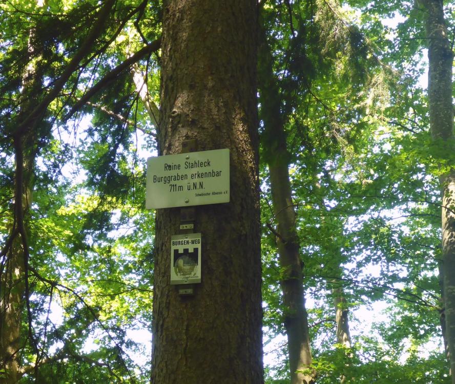 post-1325-0-13650300-1434803643_thumb.jp