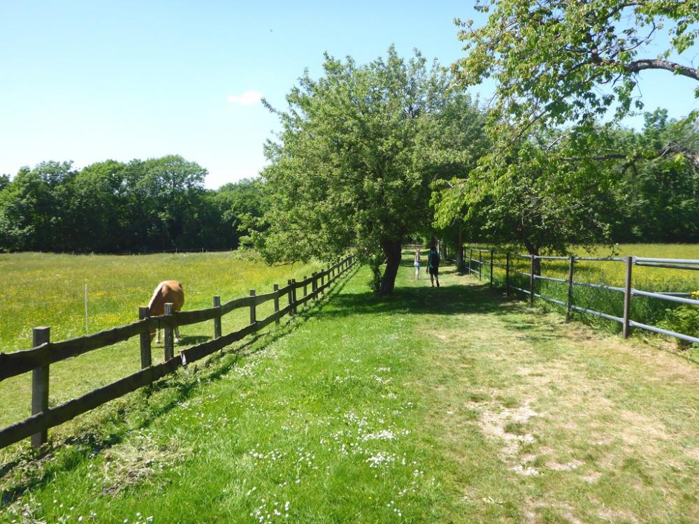 post-1325-0-14257200-1434722975_thumb.jp