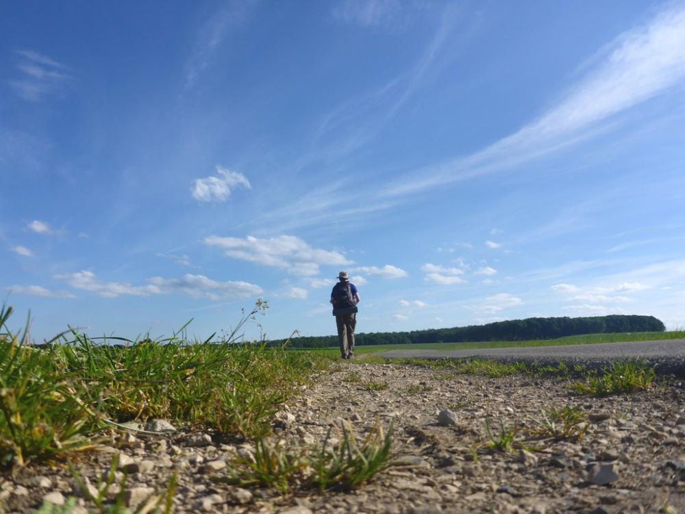 post-1325-0-15724900-1434575464_thumb.jp