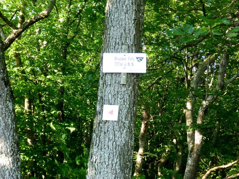 post-1325-0-16841300-1434746842_thumb.jp