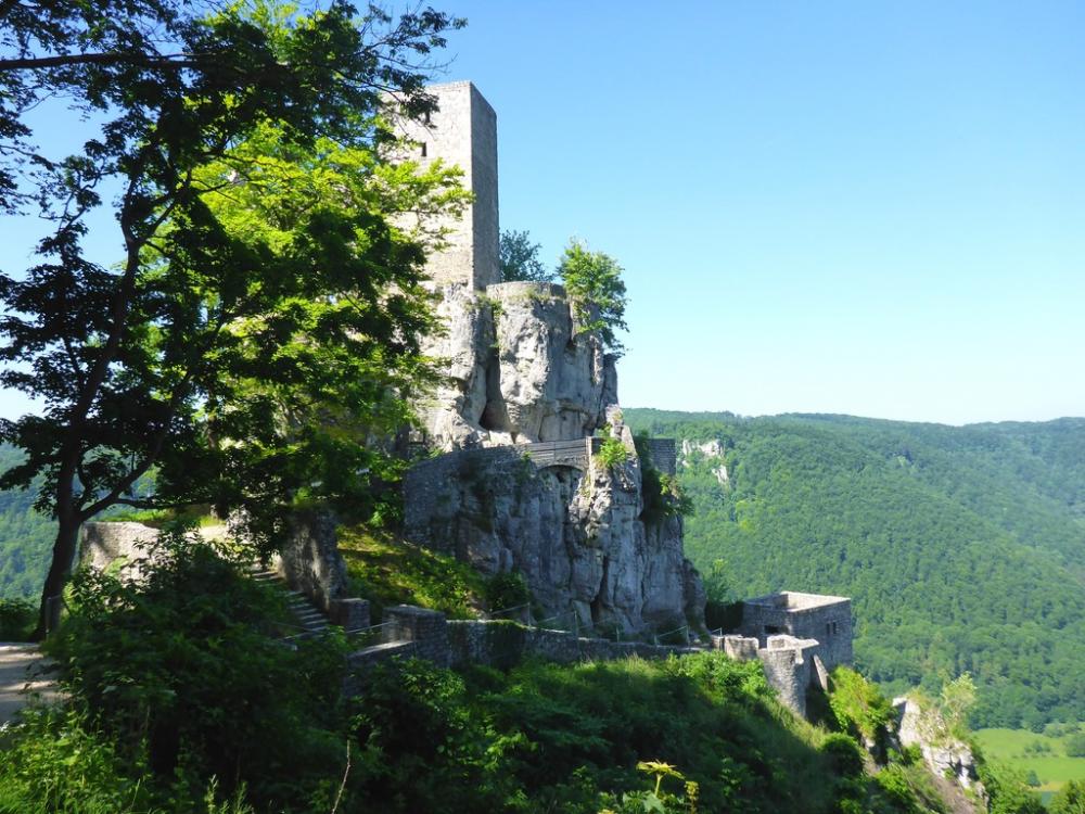 post-1325-0-17952300-1434721781_thumb.jp