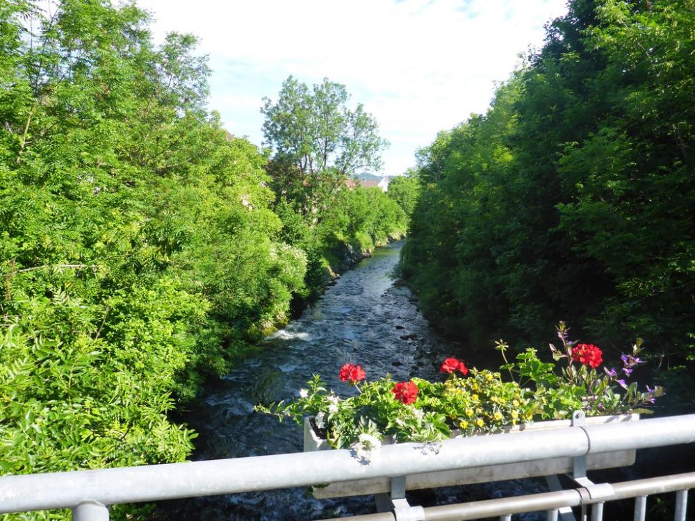 post-1325-0-19378100-1434649912_thumb.jp