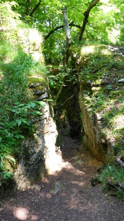 post-1325-0-20454900-1434915896_thumb.jp