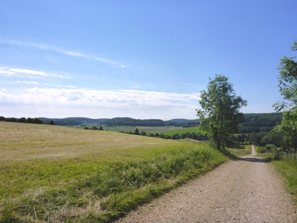 post-1325-0-21810700-1434803557_thumb.jp