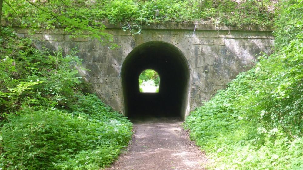 post-1325-0-21928000-1434468158_thumb.jp