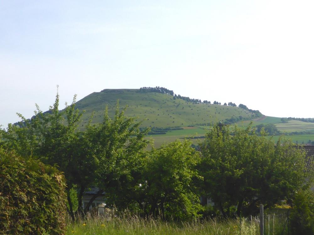 post-1325-0-28501600-1434467422_thumb.jp